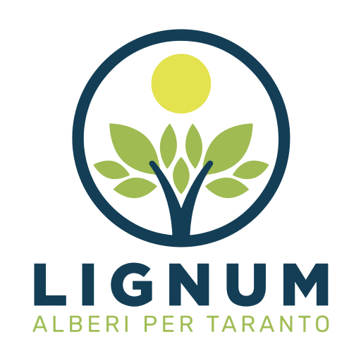 lignum_taranto